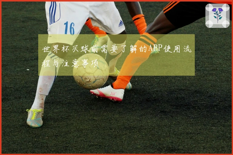 世界杯买球前需要了解的APP使用流程与注意事项