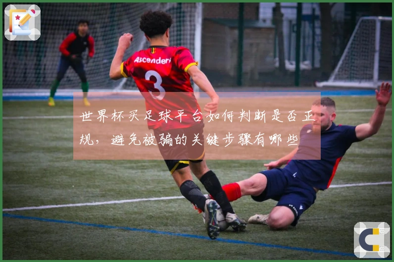 世界杯买足球平台如何判断是否正规，避免被骗的关键步骤有哪些