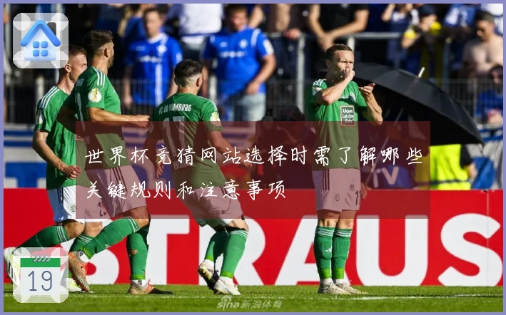 世界杯竞猜网站选择时需了解哪些关键规则和注意事项