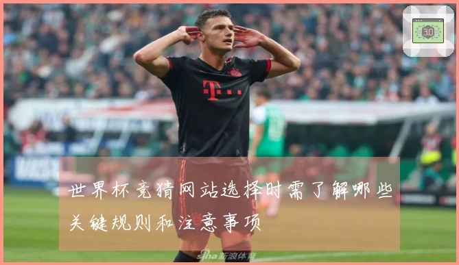世界杯竞猜网站选择时需了解哪些关键规则和注意事项