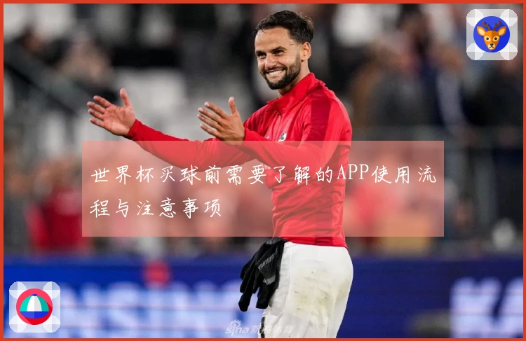 世界杯买球前需要了解的APP使用流程与注意事项