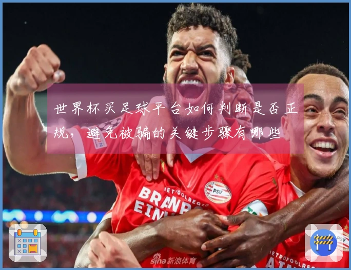 世界杯买足球平台如何判断是否正规，避免被骗的关键步骤有哪些