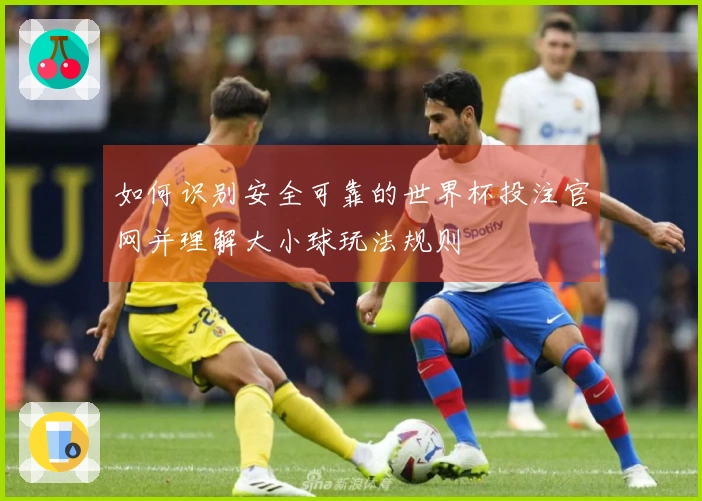 如何识别安全可靠的世界杯投注官网并理解大小球玩法规则
