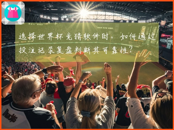 选择世界杯竞猜软件时，如何通过投注记录复盘判断其可靠性？