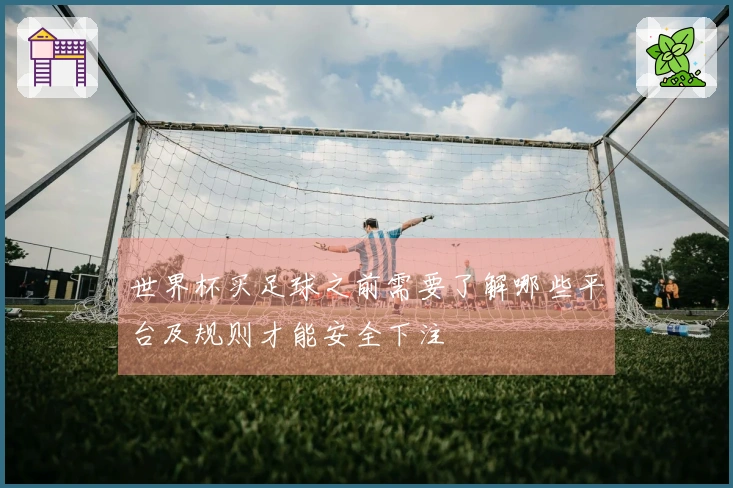世界杯买足球之前需要了解哪些平台及规则才能安全下注