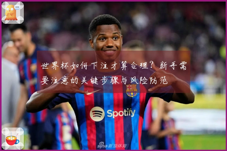 世界杯如何下注才算合理？新手需要注意的关键步骤与风险防范
