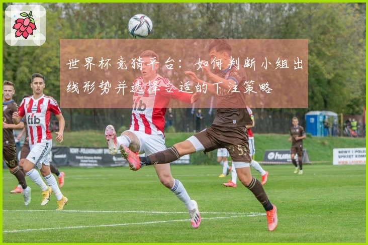 世界杯竞猜平台：如何判断小组出线形势并选择合适的下注策略